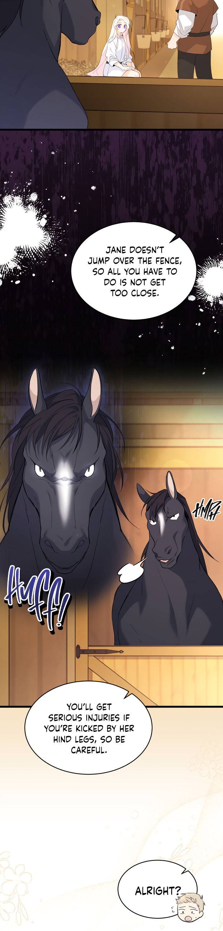 A Symbiotic Relationship Between A Rabbit And A Black Panther chapter 49 page 4