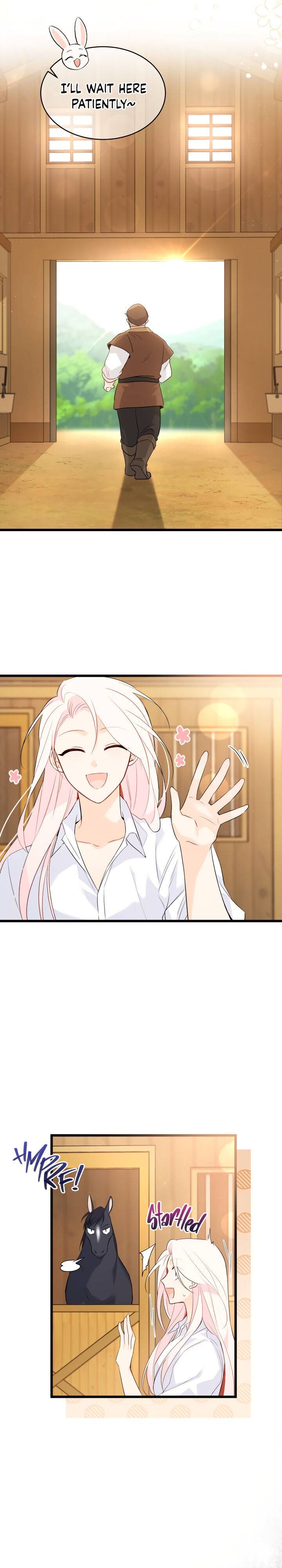 A Symbiotic Relationship Between A Rabbit And A Black Panther chapter 49 page 5