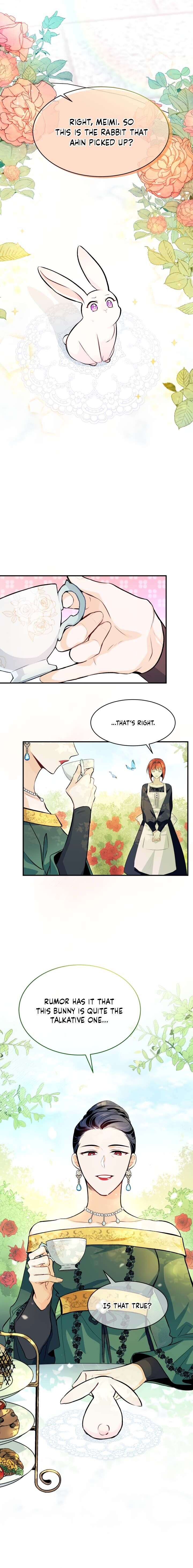 A Symbiotic Relationship Between A Rabbit And A Black Panther chapter 5 page 1