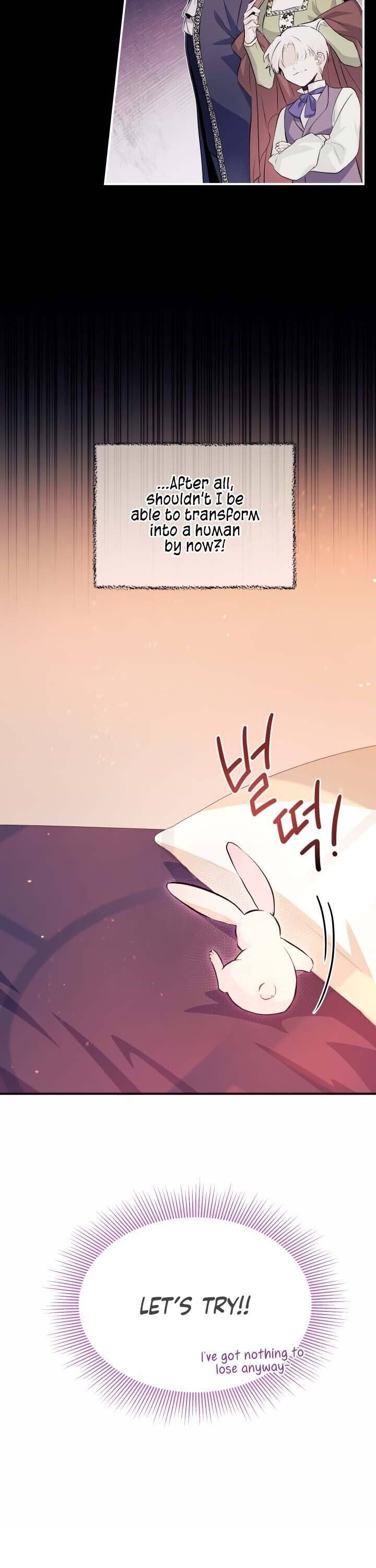 A Symbiotic Relationship Between A Rabbit And A Black Panther chapter 5 page 17