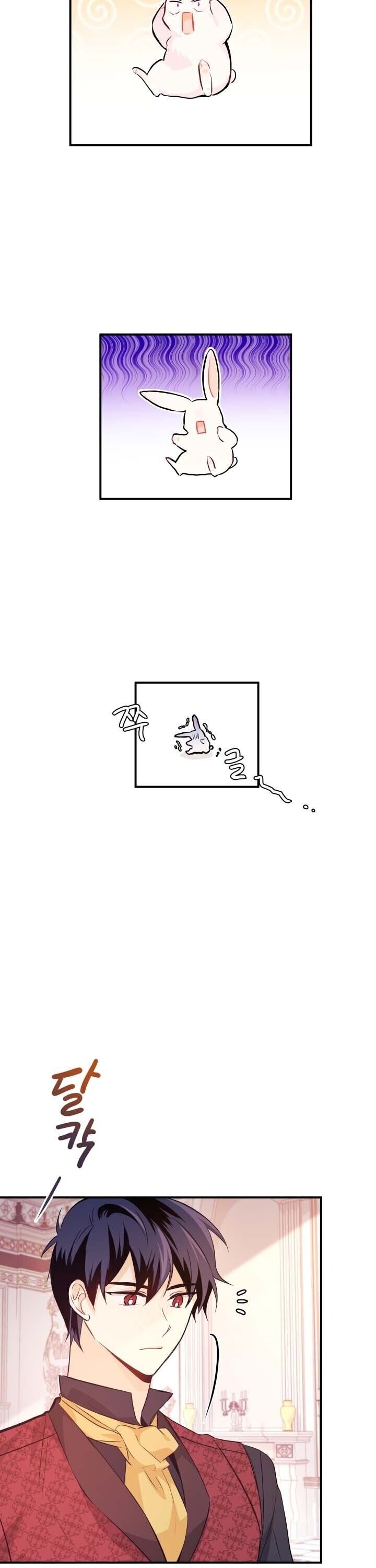 A Symbiotic Relationship Between A Rabbit And A Black Panther chapter 5 page 19