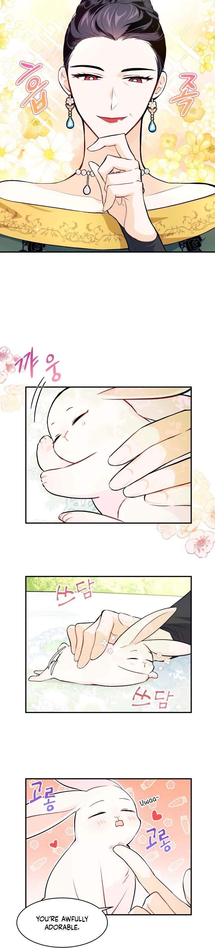 A Symbiotic Relationship Between A Rabbit And A Black Panther chapter 5 page 7