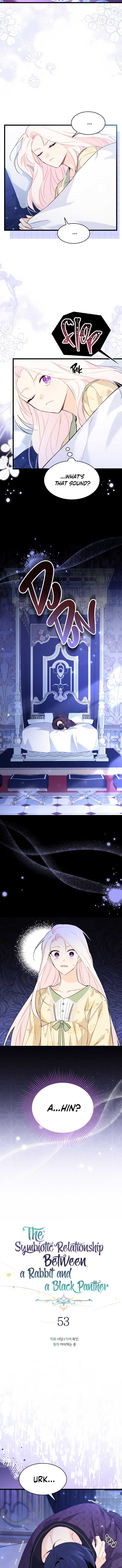A Symbiotic Relationship Between A Rabbit And A Black Panther chapter 53 page 2