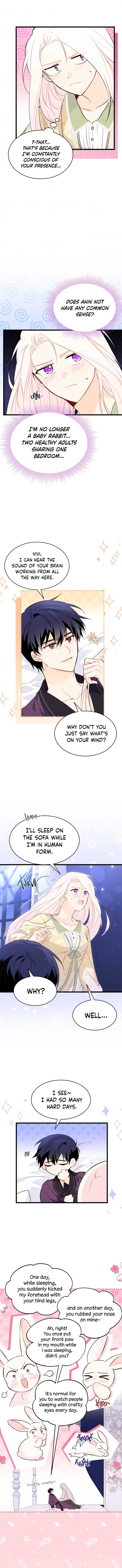 A Symbiotic Relationship Between A Rabbit And A Black Panther chapter 53 page 5