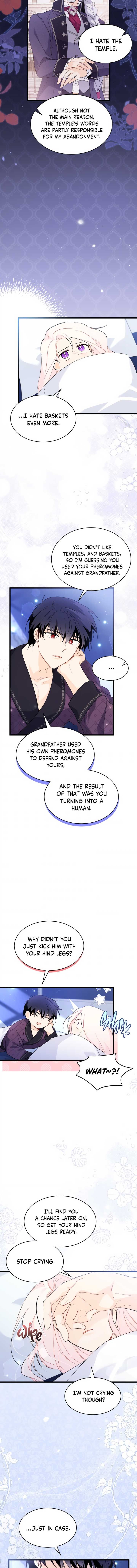 A Symbiotic Relationship Between A Rabbit And A Black Panther chapter 53 page 8