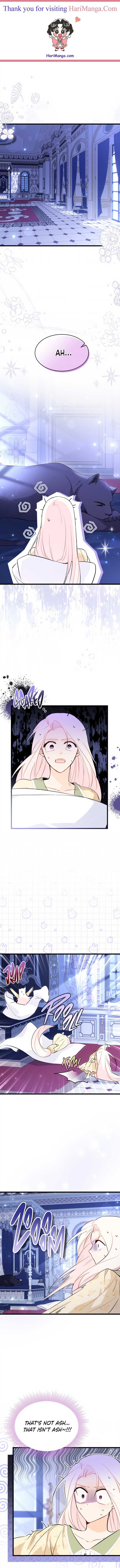 A Symbiotic Relationship Between A Rabbit And A Black Panther chapter 54 page 1