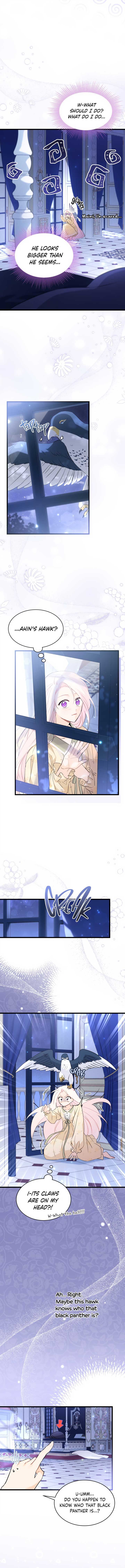 A Symbiotic Relationship Between A Rabbit And A Black Panther chapter 54 page 2