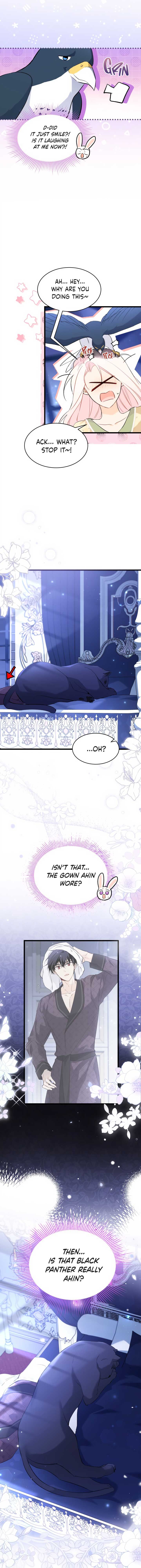 A Symbiotic Relationship Between A Rabbit And A Black Panther chapter 54 page 3