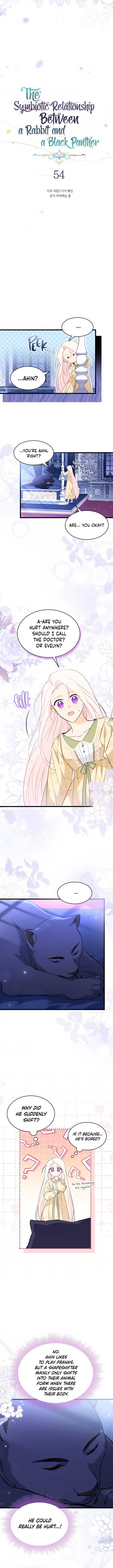 A Symbiotic Relationship Between A Rabbit And A Black Panther chapter 54 page 4