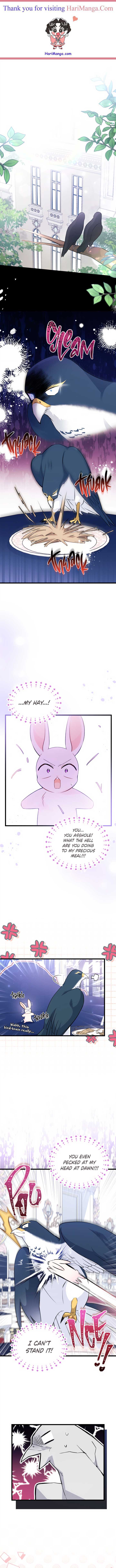 A Symbiotic Relationship Between A Rabbit And A Black Panther chapter 55 page 1