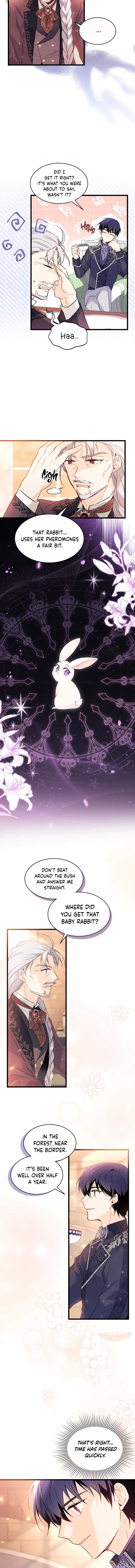 A Symbiotic Relationship Between A Rabbit And A Black Panther chapter 55 page 10