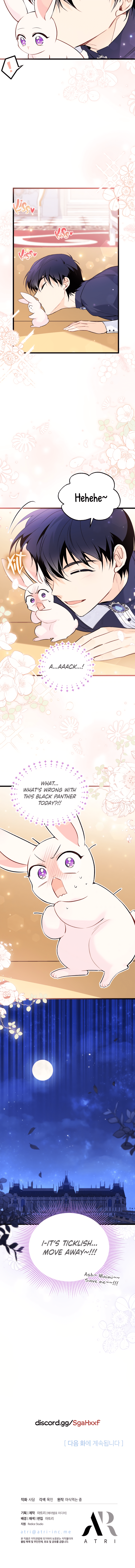 A Symbiotic Relationship Between A Rabbit And A Black Panther chapter 56 page 13