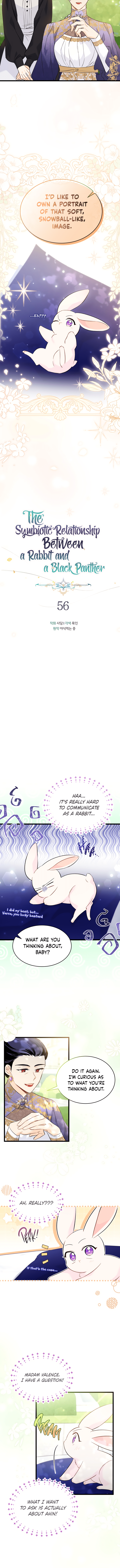 A Symbiotic Relationship Between A Rabbit And A Black Panther chapter 56 page 3
