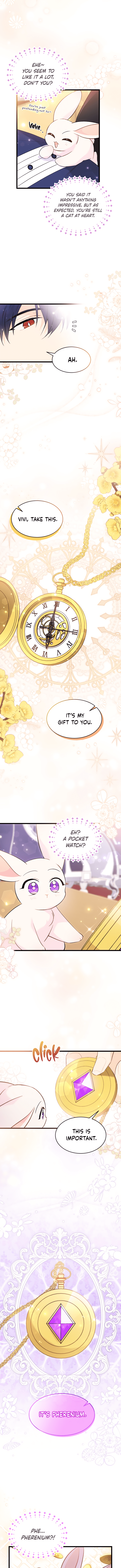 A Symbiotic Relationship Between A Rabbit And A Black Panther chapter 56 page 7