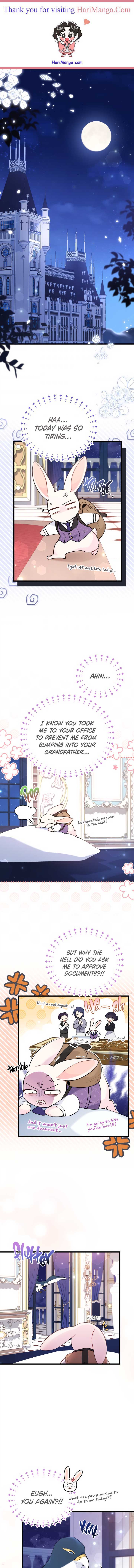 A Symbiotic Relationship Between A Rabbit And A Black Panther chapter 57 page 1