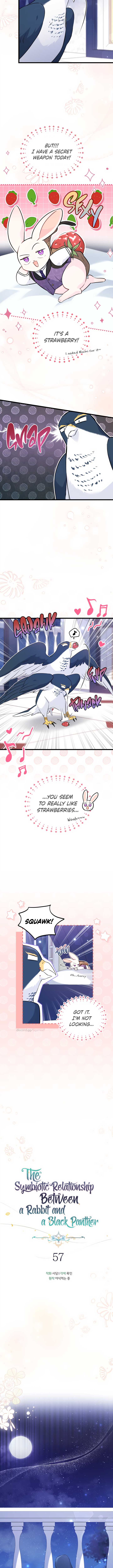 A Symbiotic Relationship Between A Rabbit And A Black Panther chapter 57 page 2