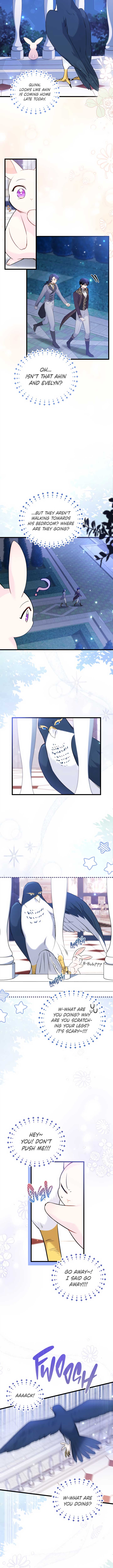 A Symbiotic Relationship Between A Rabbit And A Black Panther chapter 57 page 3