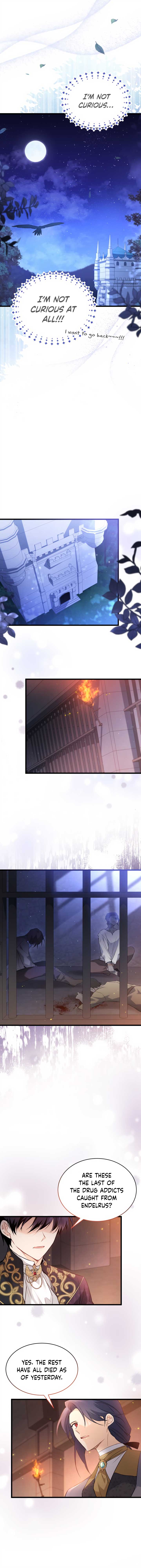 A Symbiotic Relationship Between A Rabbit And A Black Panther chapter 57 page 5