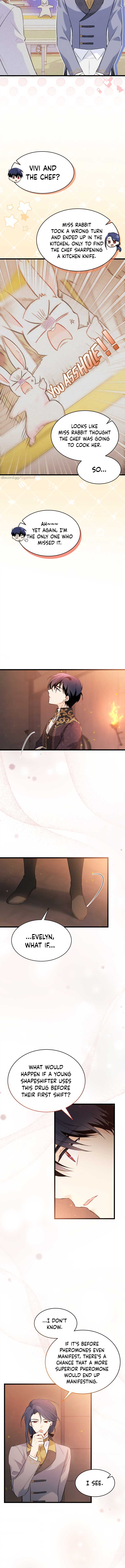 A Symbiotic Relationship Between A Rabbit And A Black Panther chapter 57 page 8