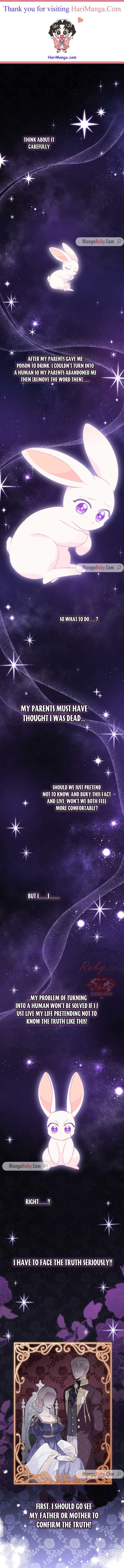 A Symbiotic Relationship Between A Rabbit And A Black Panther chapter 59 page 1