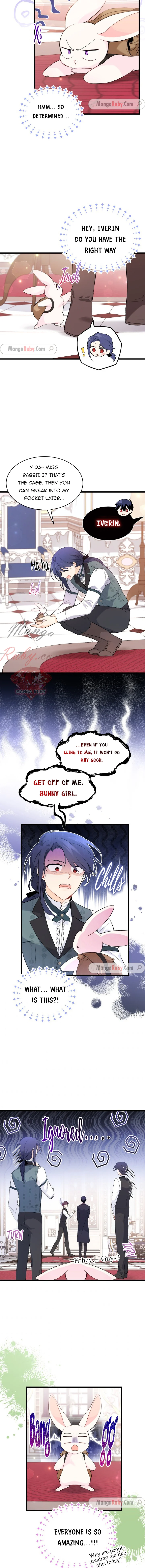 A Symbiotic Relationship Between A Rabbit And A Black Panther chapter 59 page 5