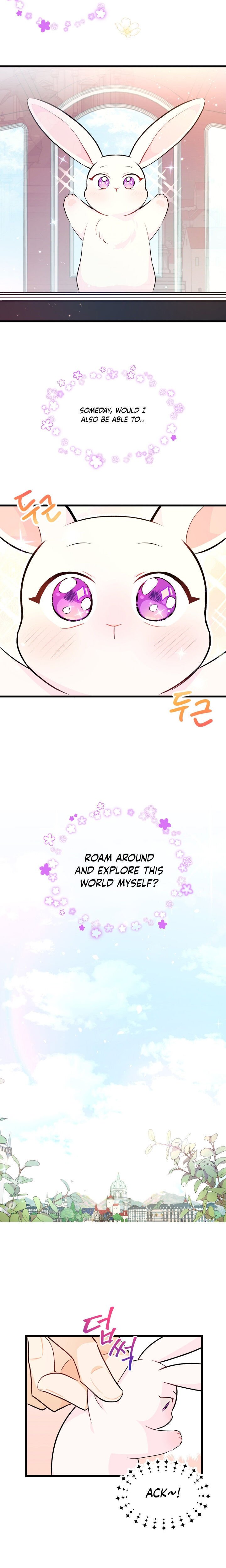 A Symbiotic Relationship Between A Rabbit And A Black Panther chapter 6 page 16