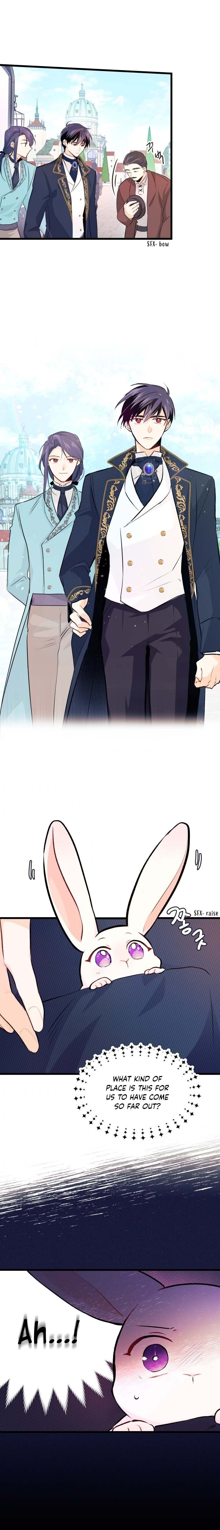 A Symbiotic Relationship Between A Rabbit And A Black Panther chapter 6 page 19