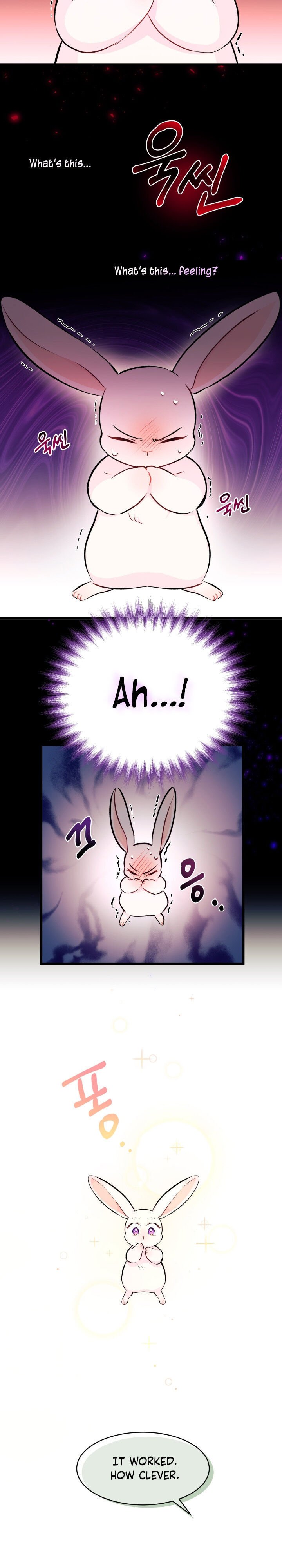 A Symbiotic Relationship Between A Rabbit And A Black Panther chapter 6 page 6