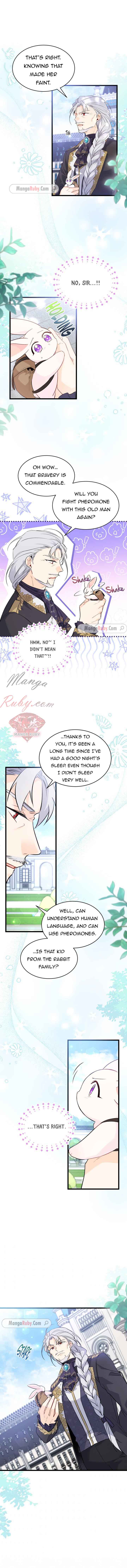 A Symbiotic Relationship Between A Rabbit And A Black Panther chapter 60 page 10