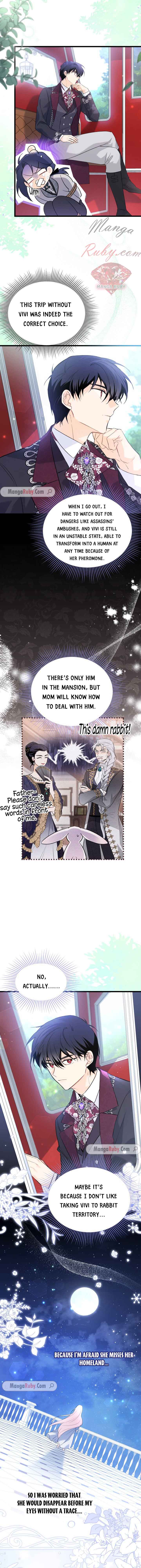 A Symbiotic Relationship Between A Rabbit And A Black Panther chapter 60 page 3