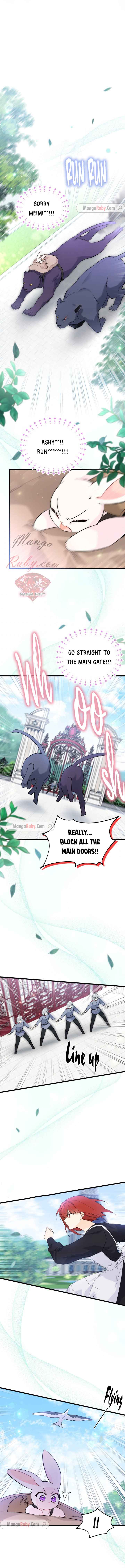 A Symbiotic Relationship Between A Rabbit And A Black Panther chapter 60 page 5