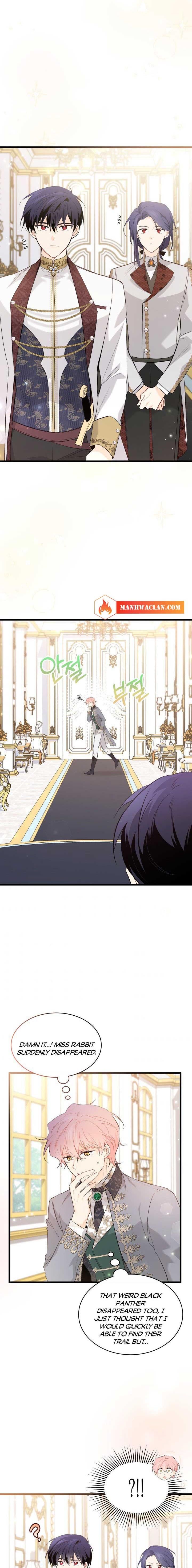 A Symbiotic Relationship Between A Rabbit And A Black Panther chapter 64 page 11