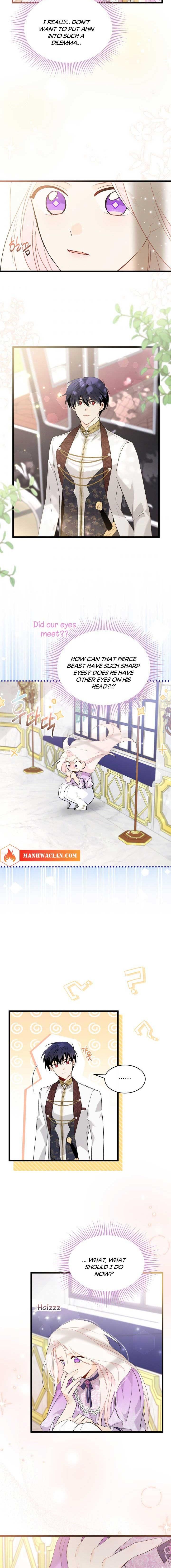 A Symbiotic Relationship Between A Rabbit And A Black Panther chapter 64 page 8