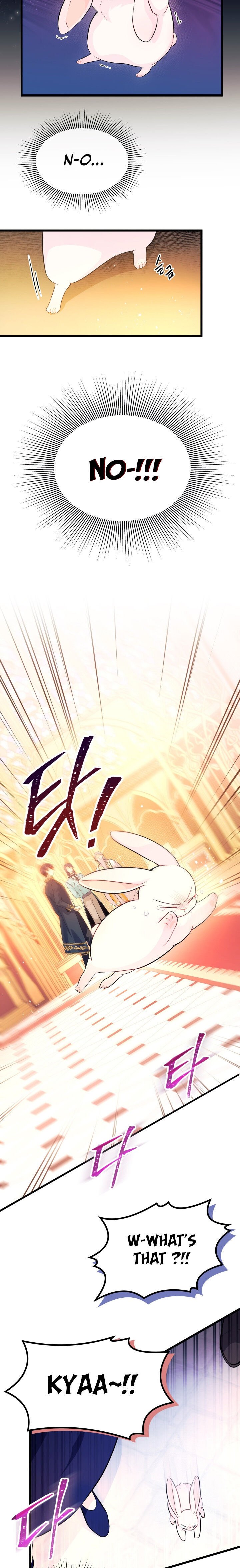 A Symbiotic Relationship Between A Rabbit And A Black Panther chapter 7 page 12