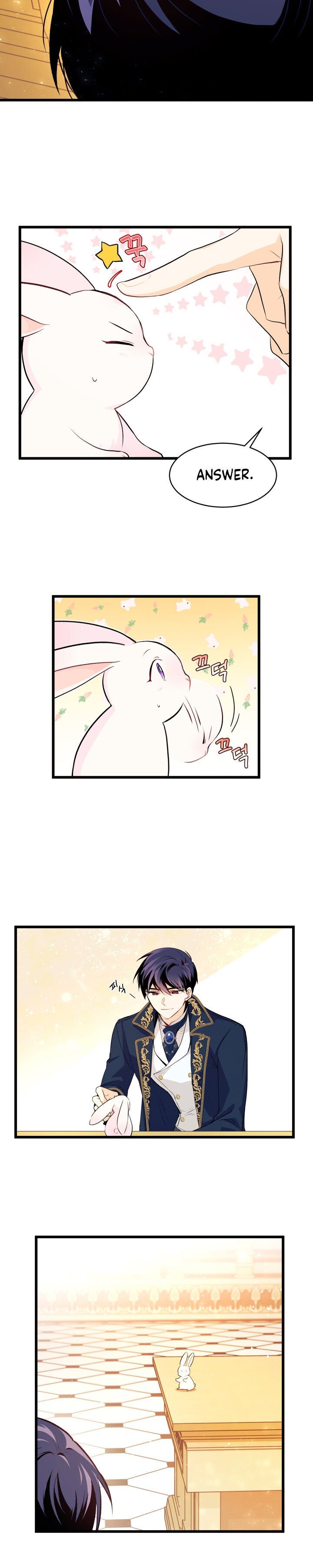 A Symbiotic Relationship Between A Rabbit And A Black Panther chapter 7 page 8