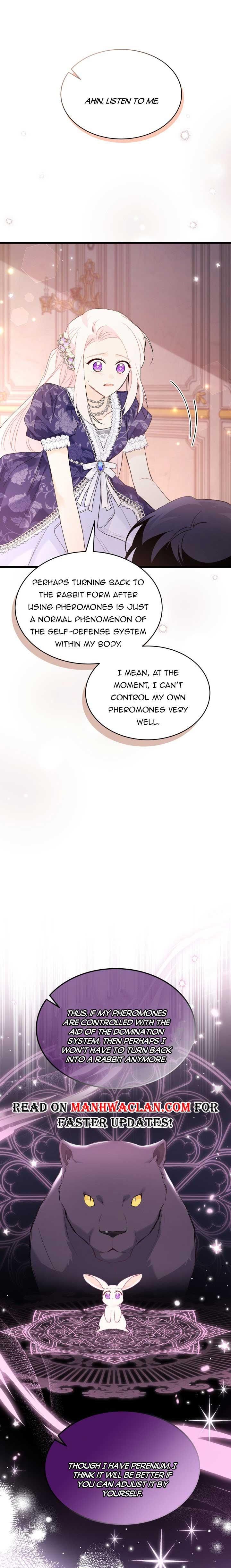 A Symbiotic Relationship Between A Rabbit And A Black Panther chapter 71.5 page 1