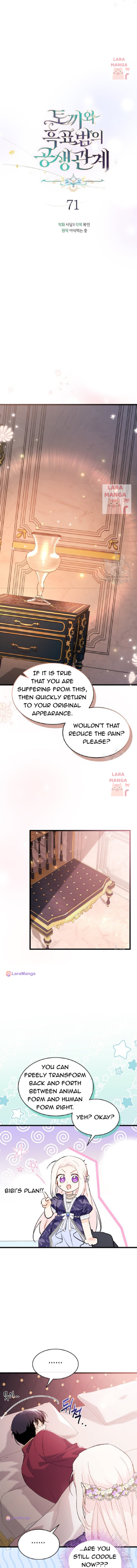 A Symbiotic Relationship Between A Rabbit And A Black Panther chapter 71 page 5