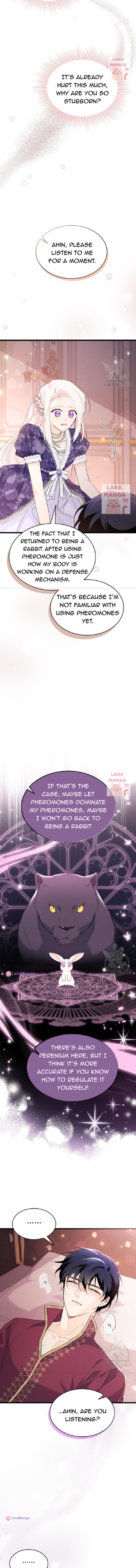 A Symbiotic Relationship Between A Rabbit And A Black Panther chapter 71 page 9