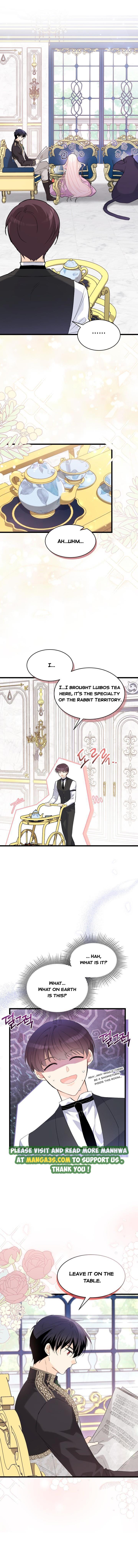 A Symbiotic Relationship Between A Rabbit And A Black Panther chapter 77 page 1