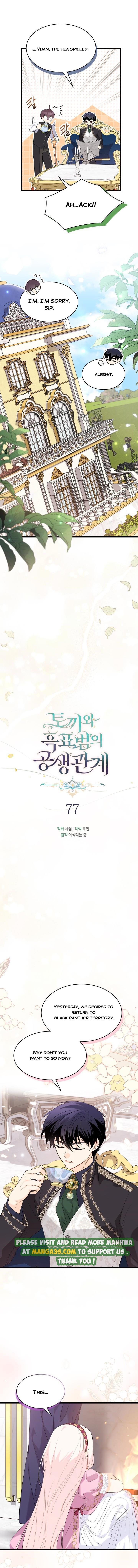 A Symbiotic Relationship Between A Rabbit And A Black Panther chapter 77 page 4