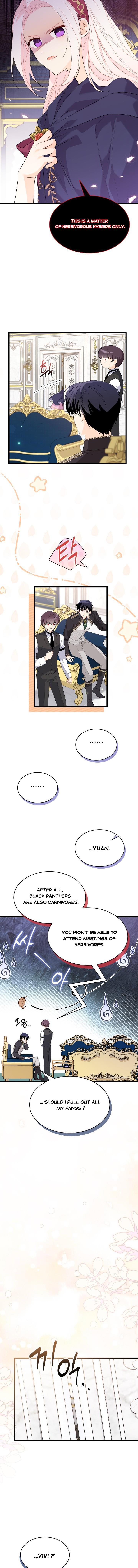 A Symbiotic Relationship Between A Rabbit And A Black Panther chapter 77 page 6