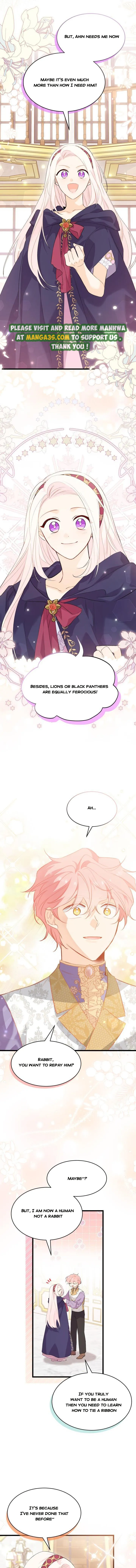 A Symbiotic Relationship Between A Rabbit And A Black Panther chapter 78.5 page 1