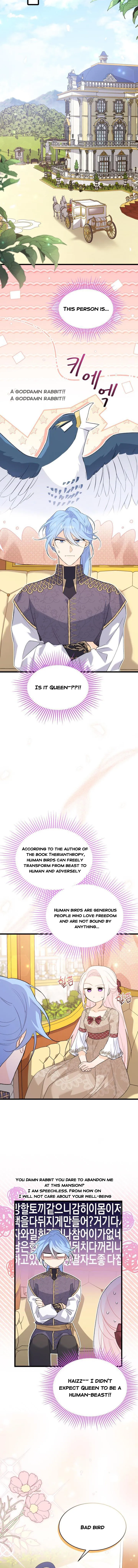 A Symbiotic Relationship Between A Rabbit And A Black Panther chapter 78.5 page 5