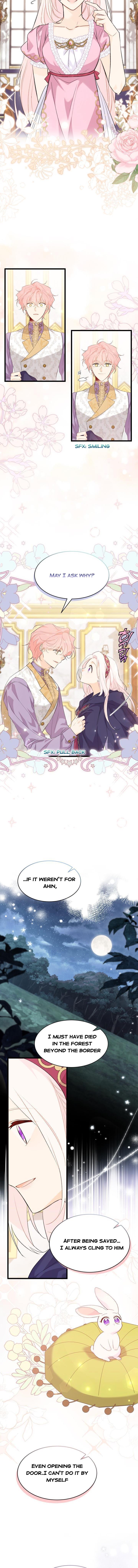 A Symbiotic Relationship Between A Rabbit And A Black Panther chapter 78 page 6