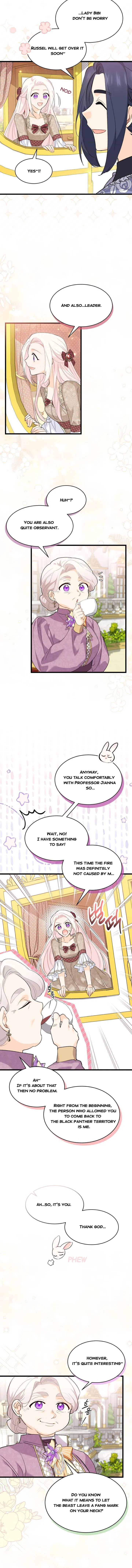 A Symbiotic Relationship Between A Rabbit And A Black Panther chapter 79 page 2