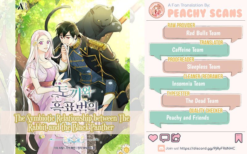 A Symbiotic Relationship Between A Rabbit And A Black Panther chapter 8 page 1