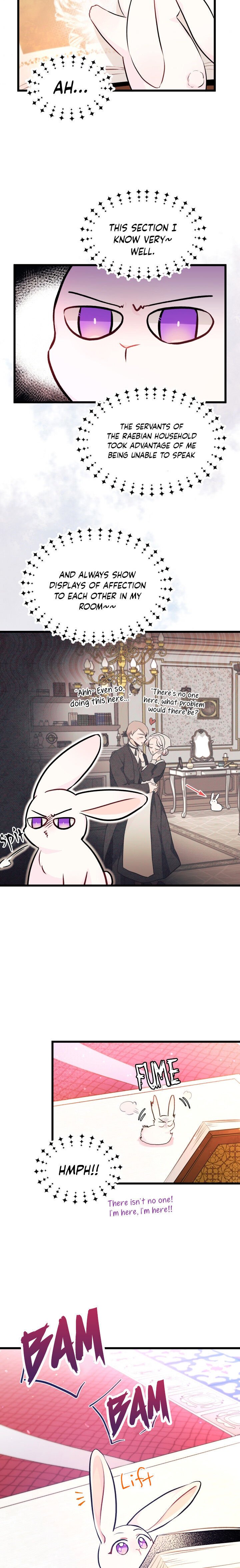 A Symbiotic Relationship Between A Rabbit And A Black Panther chapter 8 page 11