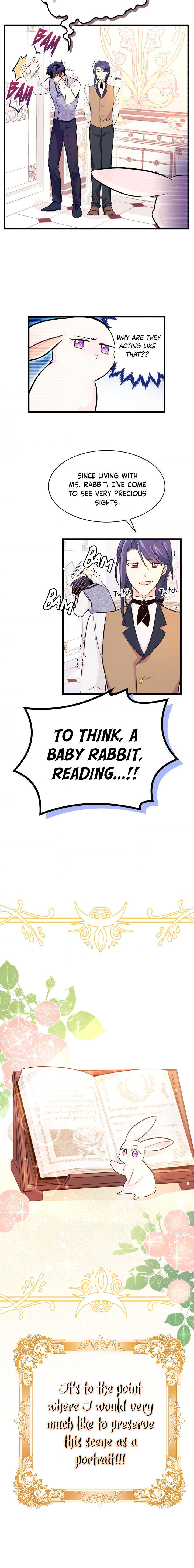 A Symbiotic Relationship Between A Rabbit And A Black Panther chapter 8 page 13