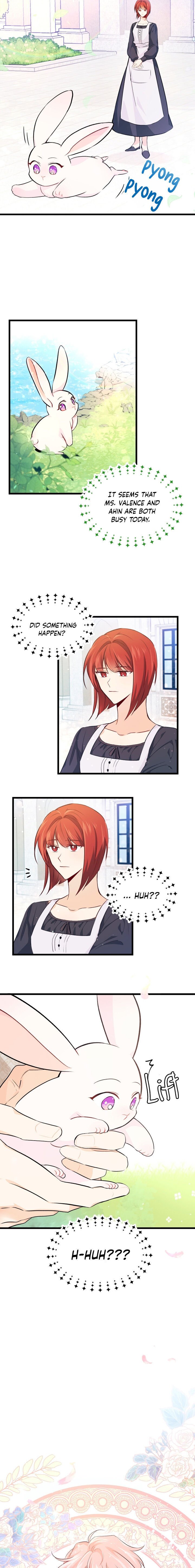 A Symbiotic Relationship Between A Rabbit And A Black Panther chapter 8 page 17