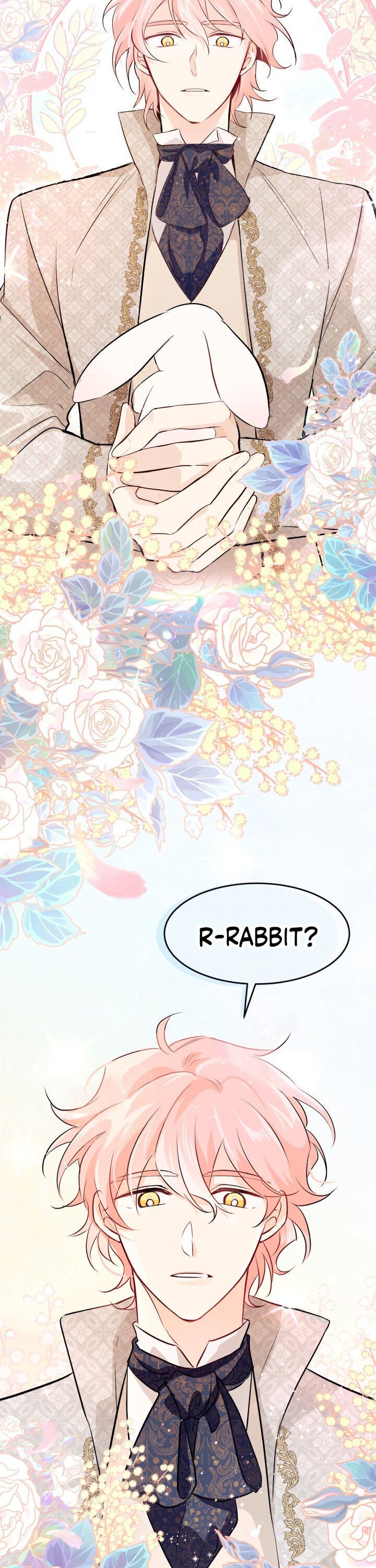 A Symbiotic Relationship Between A Rabbit And A Black Panther chapter 8 page 18